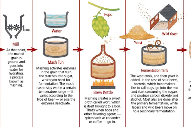 beer-infographic