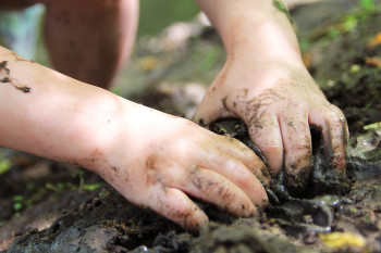What Is Dirt' Check Out The Whole wriggling World Alive In The Ground Beneath Our Feet