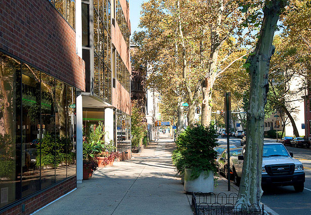 philly-street1.jpg