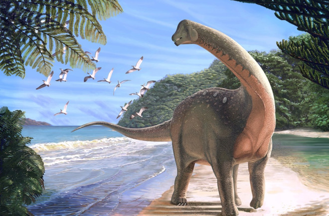 Mansourasaurus