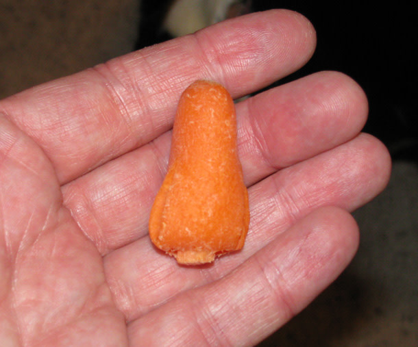 carrot_shuttle.jpg