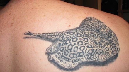 Details more than 71 cute stingray tattoo latest  incdgdbentre