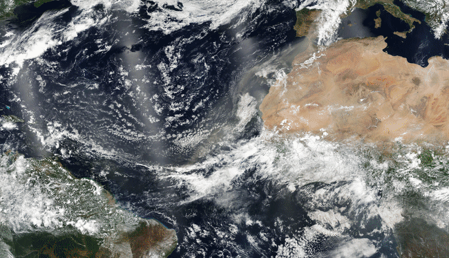 Saharan-Dust-Layer.gif
