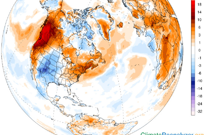 Surface Temperature Anomaly