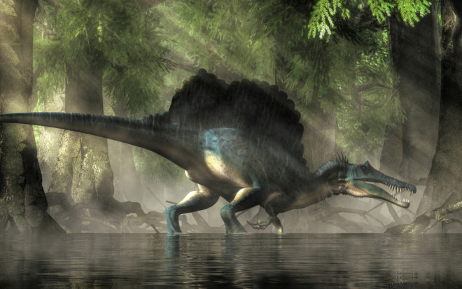 A spinosaurus in a swamp