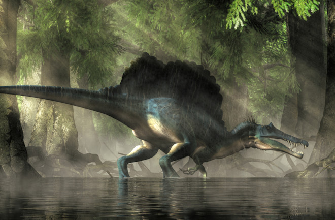 Could Spinosaurus Really Take On T. rex? And Other Facts | Discover
