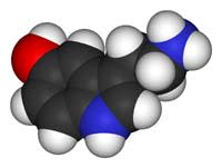 Serotonin.jpg