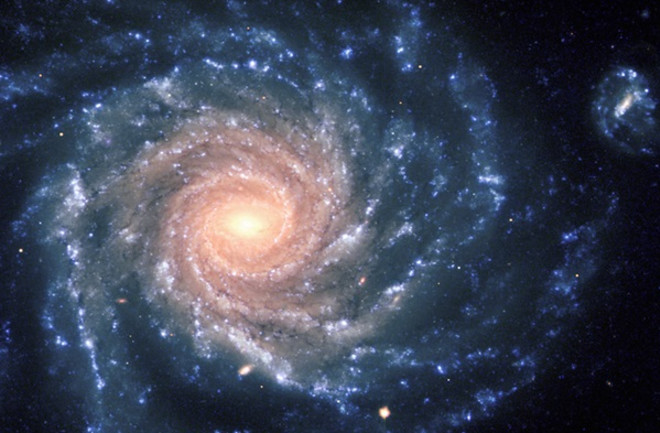 Grand spiral galaxy (NGC 1232)