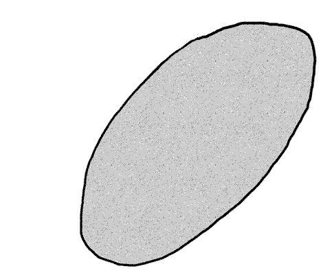 The invention of the Levallois technique, which creates a predictably shaped Levallois flake, is the first tangible evidence of abstract thought in the archaeological record. (Credit: José-Manuel Benito Álvarez/Wikimedia Commons)