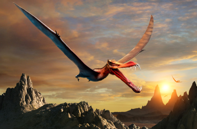 Pterosaur