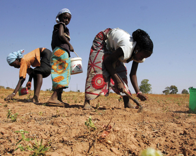 crianças senegalesas