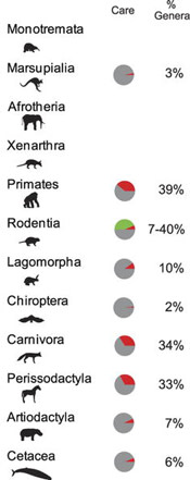 imprintinggenera.jpg