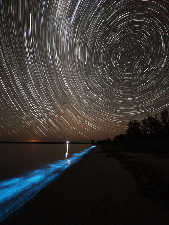 philhart_biolum_startrail.jpg