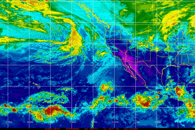 Https Encrypted Tbn0 Gstatic Com Images Q Tbn And9gcrlg5vhuppokwzaehj8q0 D9tgu1kzonj7gxw Usqp Cau