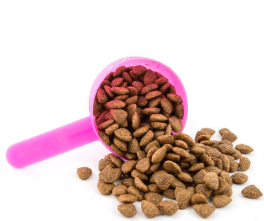 dog food for pancreatitis without chicken
