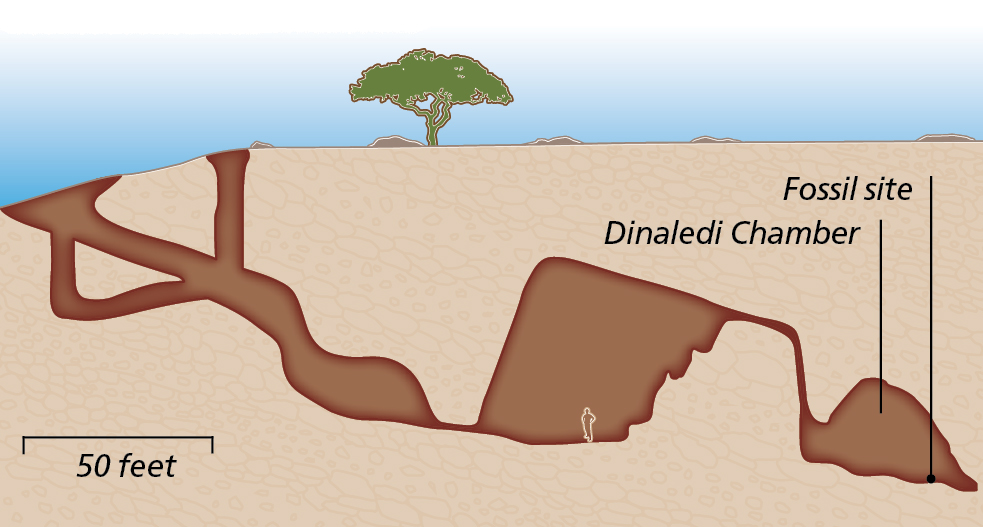 Dinaledi Chamber - Jay Smith