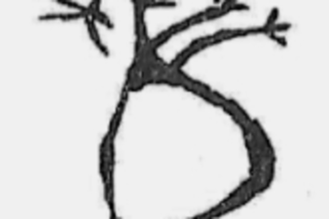 31ce8-pregnantcavelady.jpg