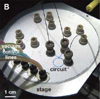 Microfluidics.jpg