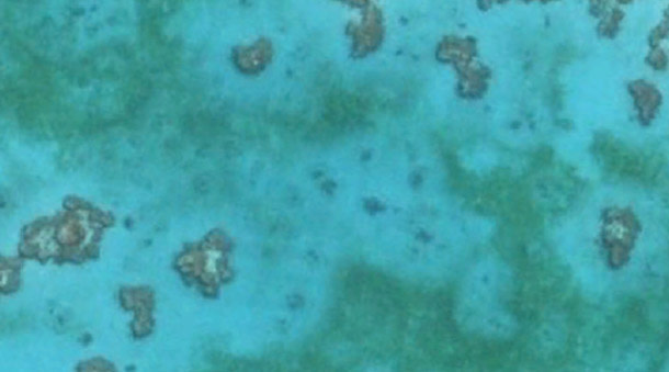 Reef_halos.jpg