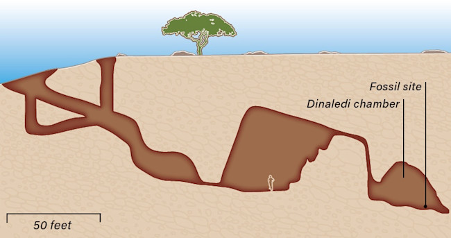 fossilsite sima