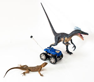 velociraptor toy robot