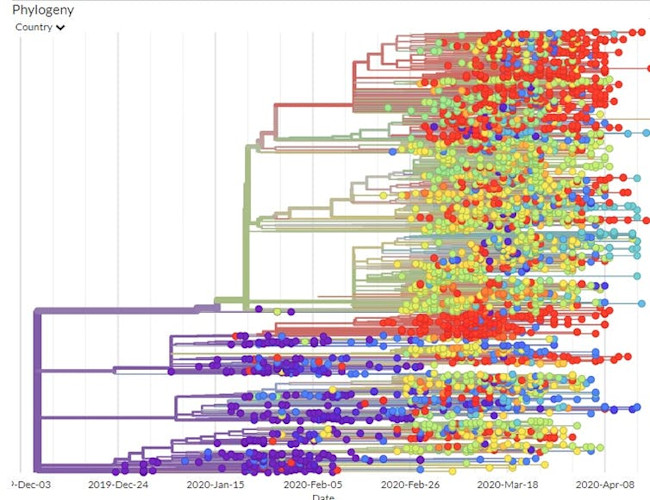 The Coronavirus Genome is Like a Shipping Label That Lets Epidemiologists Track ..