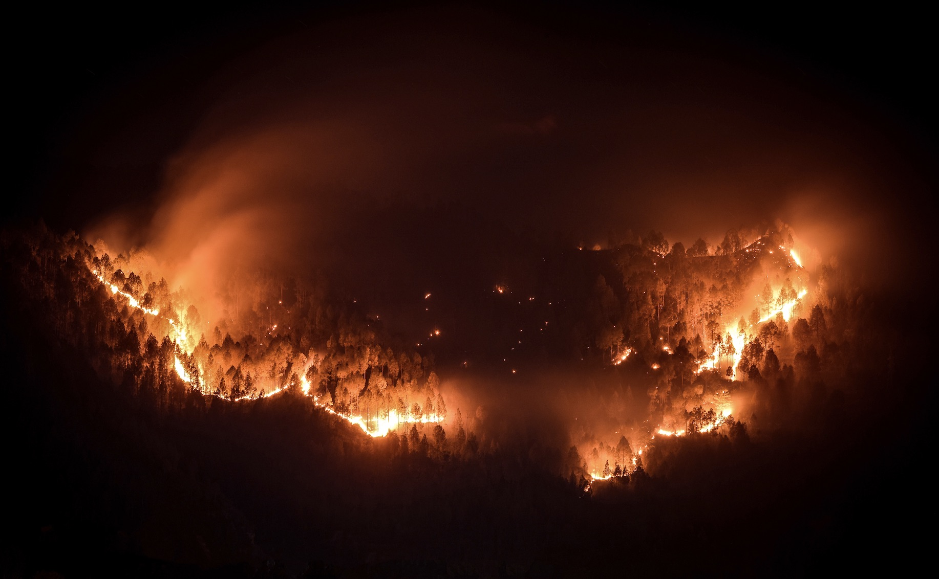 Following Two Years After Australia’s Lethal Black Summer Fires