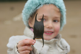 shark-trust.jpg