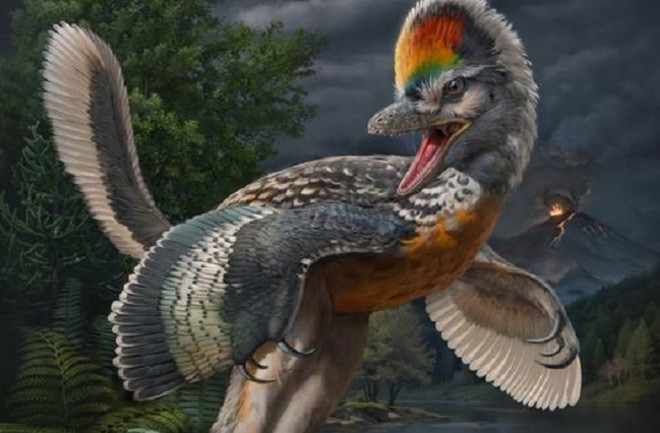 Bird like dinosaur Fujianvenator prodigiosus with long legs