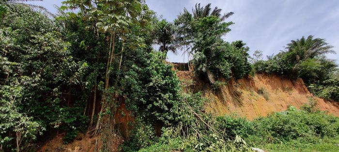 Early Humans Thrived in Africa’s Tropical Rainforests 150,000 Years Ago