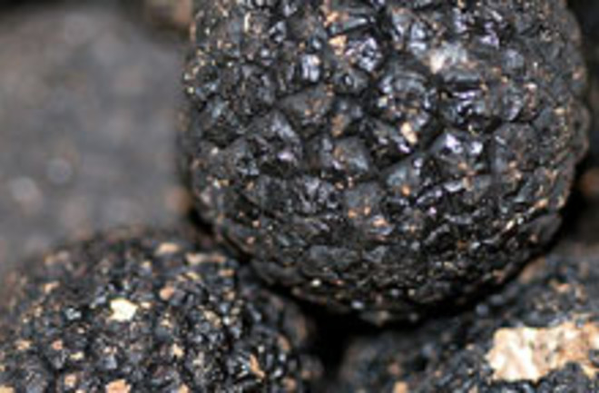 black-truffle.jpg