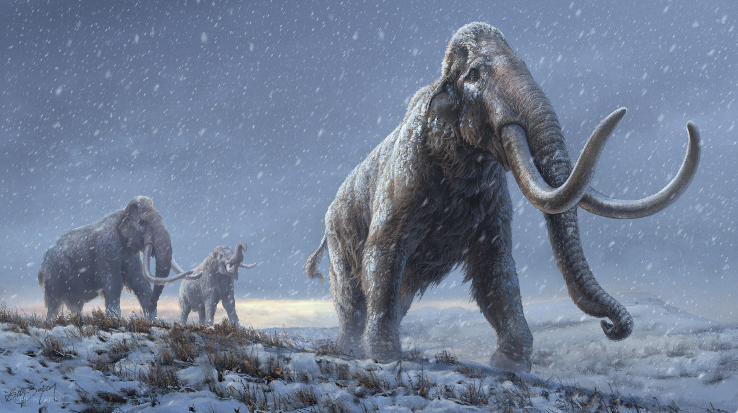 Weakly News 3/31/23: Digital Blackface, Lab-Grown Wooly Mammoth