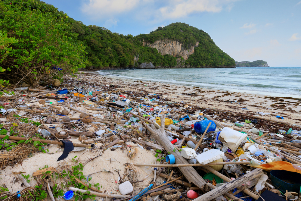 Used plastic water bottle washed up on the shore of a tropical