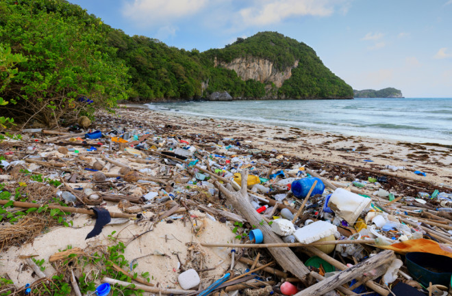 Plastic trash on the shore