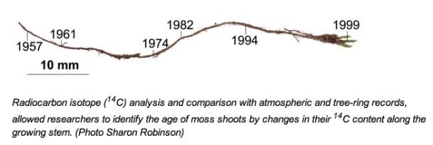 Moss_age-610x204.jpg
