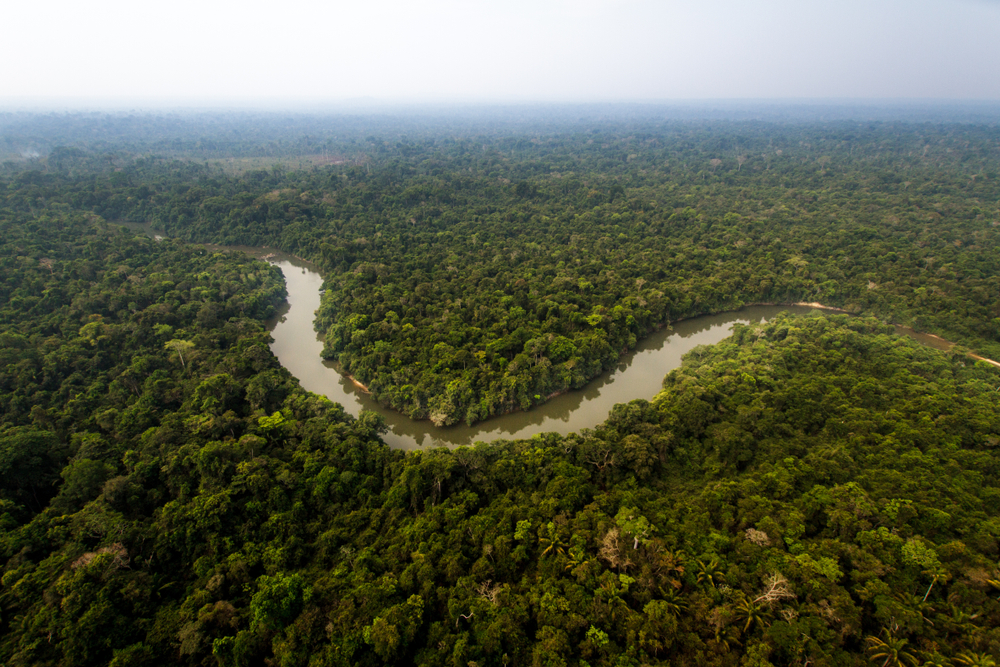The Amazon Rainforest Could Die in Your Lifetime — Here's Why