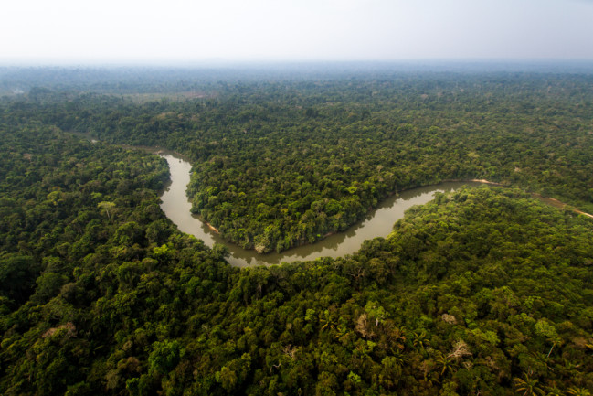 The Amazon Rainforest Could Die In Your Lifetime Here S Why Discover Magazine