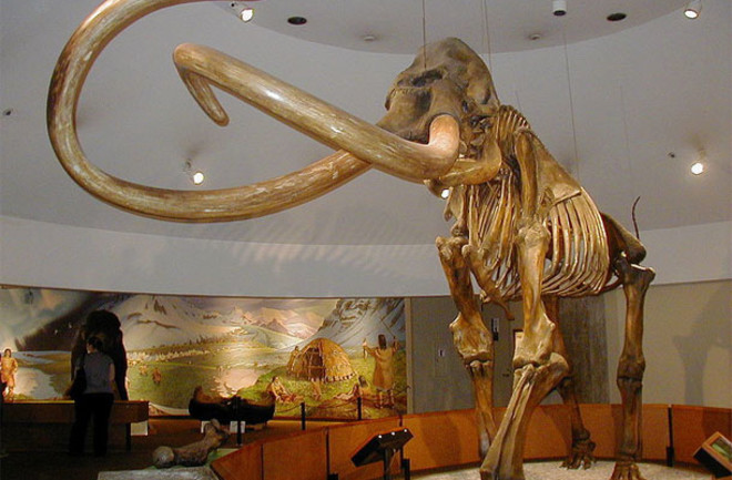 Columbia-mammoth.jpg