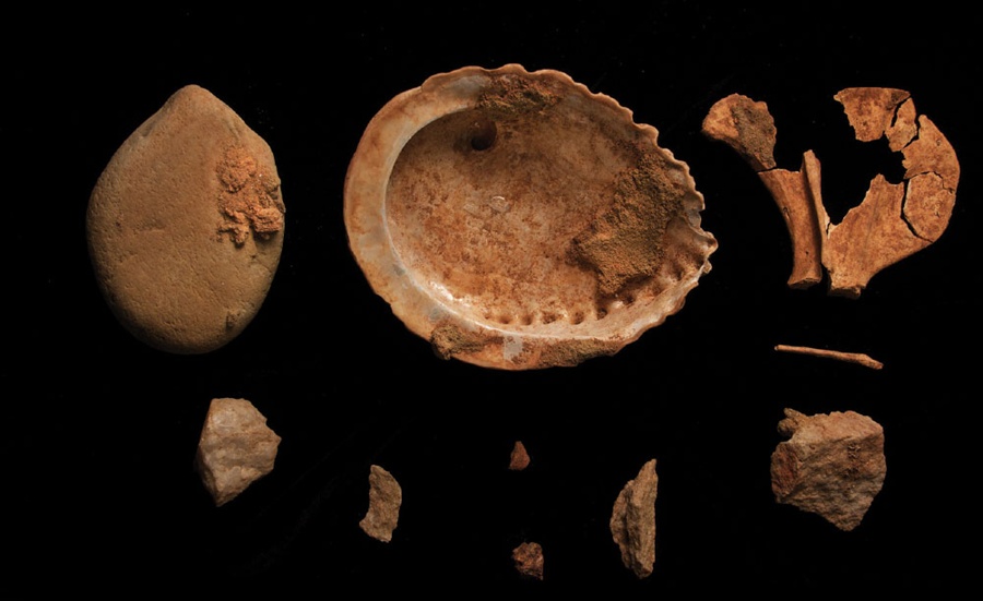abalone-shell