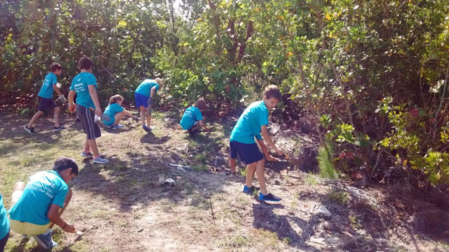 Mangrove Restoration - EarthEcho International