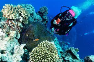 virtual-reef-diver-300x200