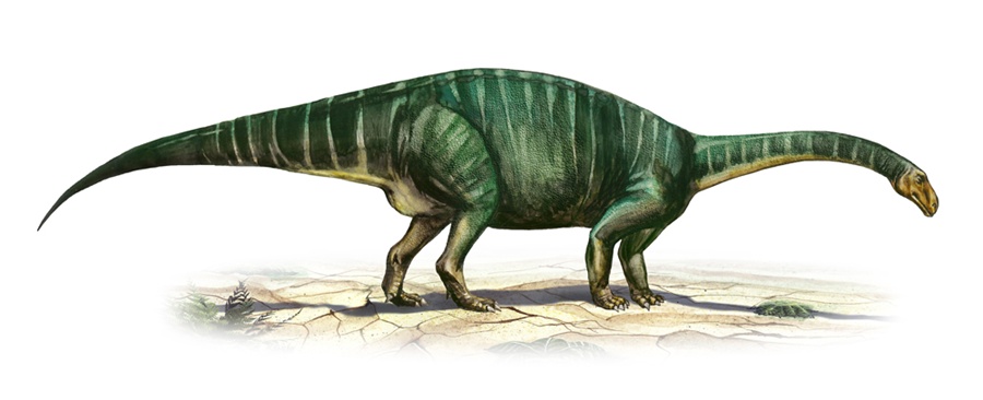 prosauropod