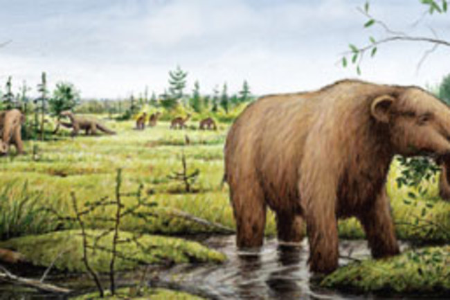 Pleistocene.jpg