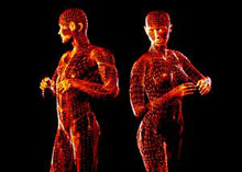 symmetrical-bodies.jpg