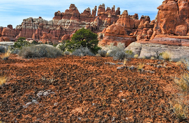 Utah Canyonlands