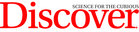 dsc_logo.png
