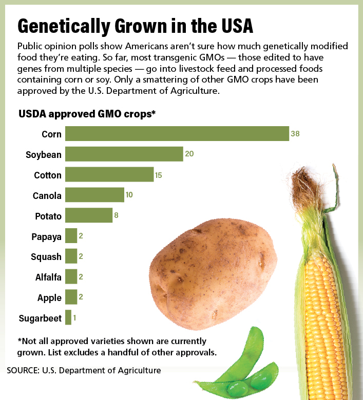US-GMOs