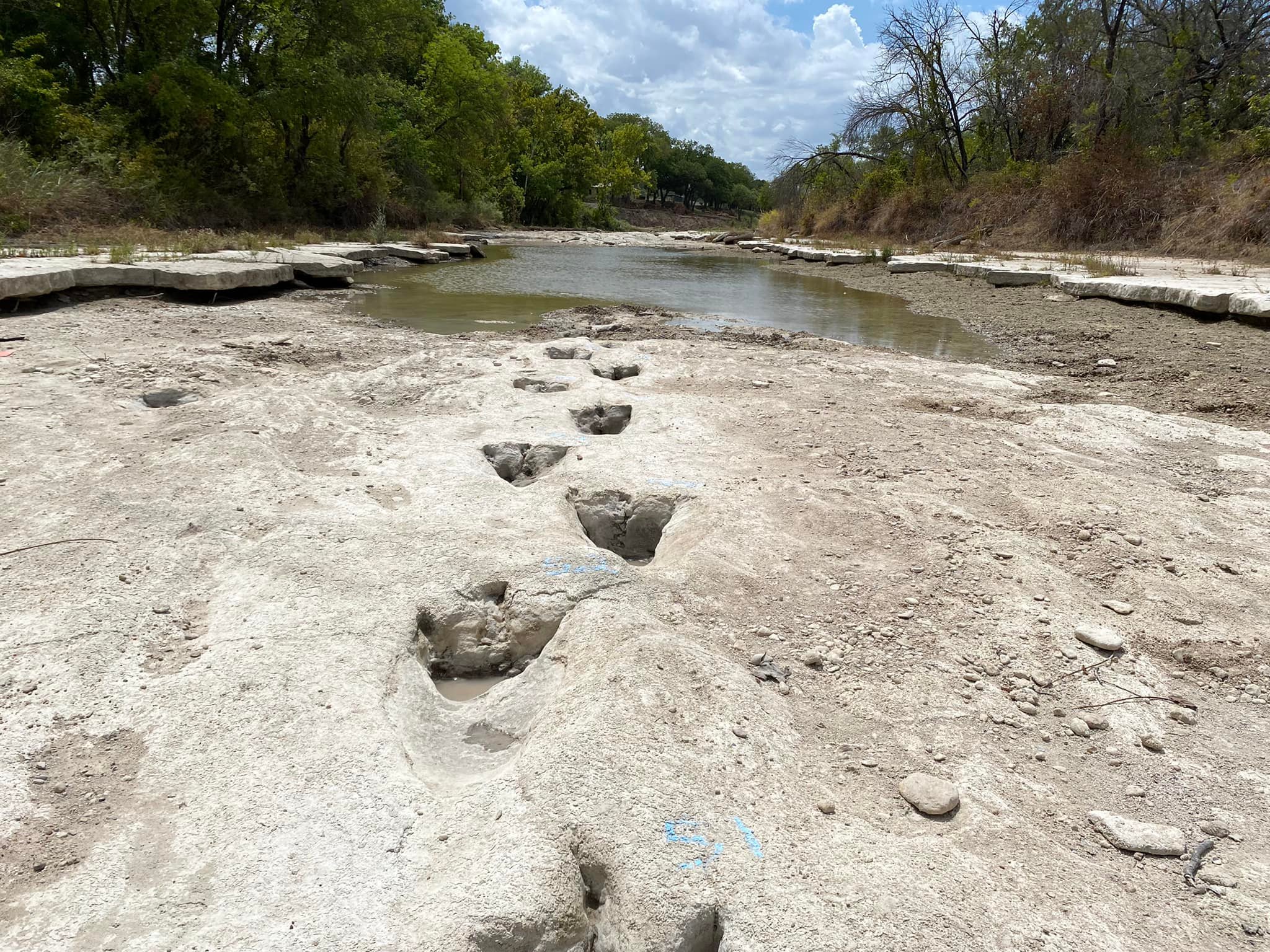 113 Million-Year-Old Dinosaur Tracks Uncovered In Texas Drought 