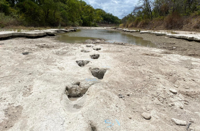 Paluxy River Dinosaur Tracks 
