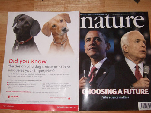 Adplacementfail.jpg